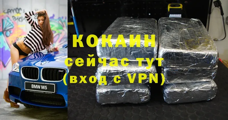 Cocaine FishScale  как найти наркотики  Катав-Ивановск 