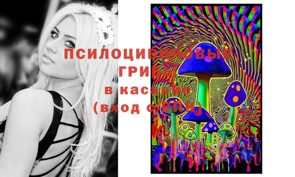 сатива Медвежьегорск