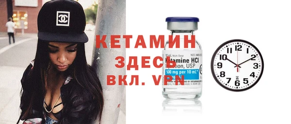 индика Гатчина