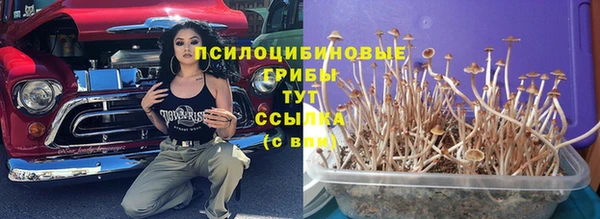 ГАЛЛЮЦИНОГЕННЫЕ ГРИБЫ Мегион