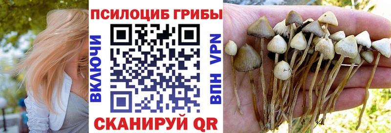 купить цена Катав-Ивановск Галлюциногенные грибы Magic Shrooms